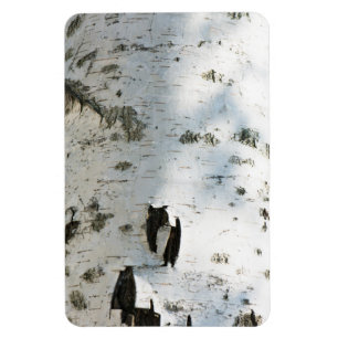 Magnet Flexible Motif d'écorce de bouleau