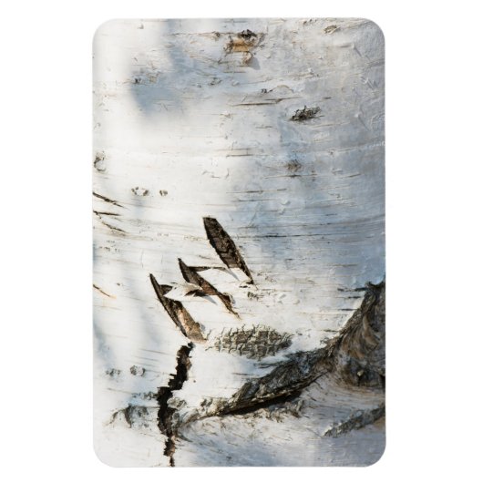 Magnet Flexible Motif d'écorce de bouleau (Vertical)