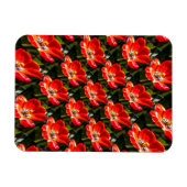 Magnet Flexible Motif des Tulipes rouges (Horizontal)