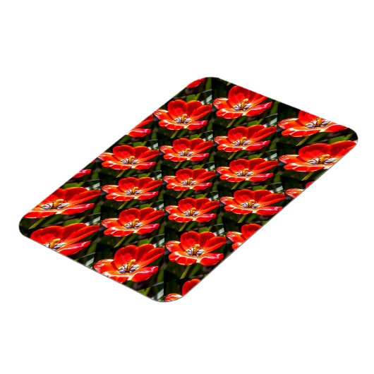 Magnet Flexible Motif des Tulipes rouges (Côté Gauche)