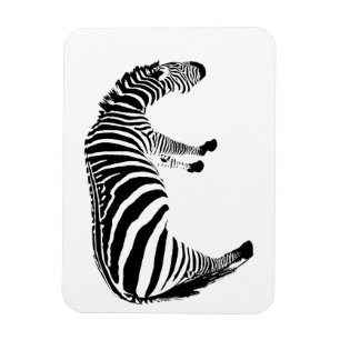 Magnet Flexible Motif Imprimé Zèbre Noir et Blanc Gras
