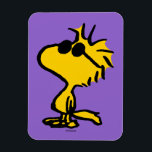 Magnet Flexible Motif Lunettes de soleil Cool Woodstock<br><div class="desc">Jetez un oeil à ce design super mignon avec des lunettes de soleil cool Woodstock.</div>