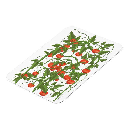 Magnet Flexible Motif Tomates (Côté Gauche)