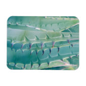 Magnet Flexible Motifs d'une plante d'Agave (Horizontal)