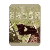 Magnet Flexible Motivation Goût de vie Cat Citation Art Amusant (Vertical)