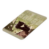 Magnet Flexible Motivation Goût de vie Cat Citation Art Amusant (Côté Gauche)