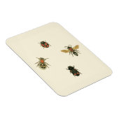 Magnet Flexible Mouches et coléoptères par Vision Studio (Côté Droit)