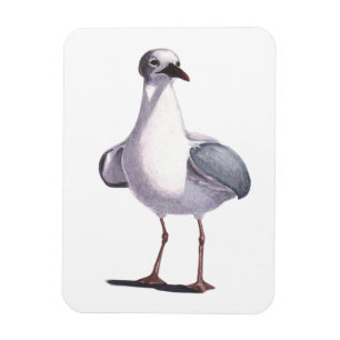 Magnet Flexible Mouette