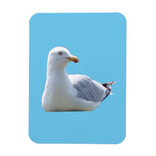 Magnet Flexible Mouette Adorable au Repos sous un Ciel Bleu Calme 