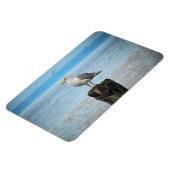 Magnet Flexible Mouette sur aimant Puget Sound (Côté Gauche)