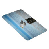 Magnet Flexible Mouette sur aimant Puget Sound (Côté Droit)