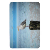 Magnet Flexible Mouette sur aimant Puget Sound (Vertical)