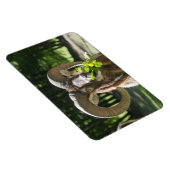 Magnet Flexible Mouflon Ram (Côté Droit)