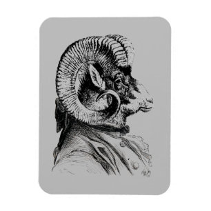 Magnet Flexible Mouflons d'Amérique dans le costume