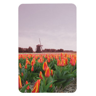 Magnet Flexible Moulin à vent orange de gisement de fleurs de