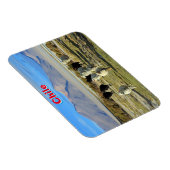 Magnet Flexible mouton chilien (Côté Droit)