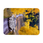 Magnet Flexible Mouton sur Country Road (Horizontal)