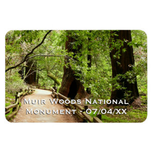 Magnet Flexible Muir Woods Path II Nature Photography