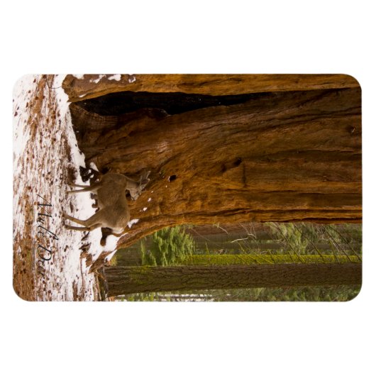 Magnet Flexible Mule Deer (Horizontal)