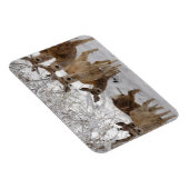 Magnet Flexible Mule Deer Wyoming (Côté Droit)