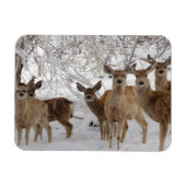 Magnet Flexible Mule Deer Wyoming (Horizontal)