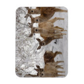 Magnet Flexible Mule Deer Wyoming (Vertical)