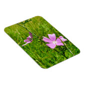 Magnet Flexible Musk-mallow (Côté Droit)