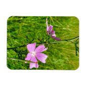 Magnet Flexible Musk-mallow (Horizontal)