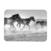 Magnet Flexible Mustang Run (Horizontal)