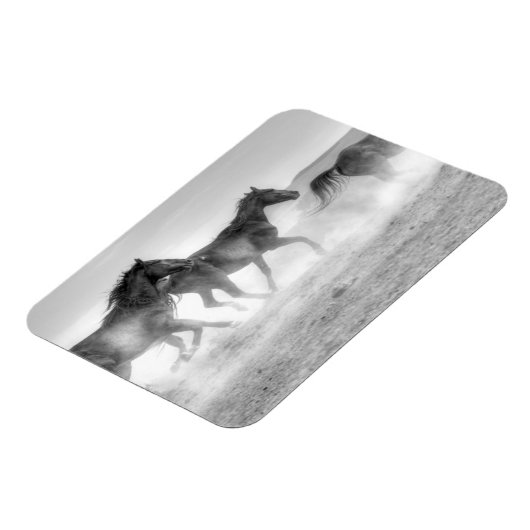 Magnet Flexible Mustang Run (Côté Gauche)