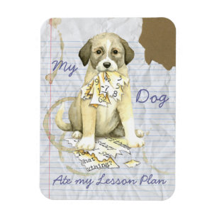 Magnet Flexible My Anatolian Ate My Lesson Plan