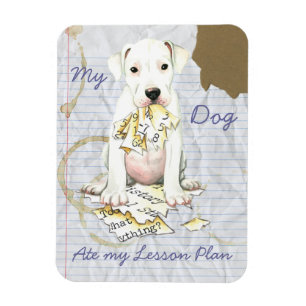 Magnet Flexible My Dogo Ate My Lesson Plan