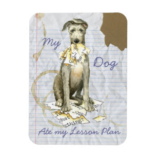 Magnet Flexible My Scottish Deerhound Ate my Lesson Plan