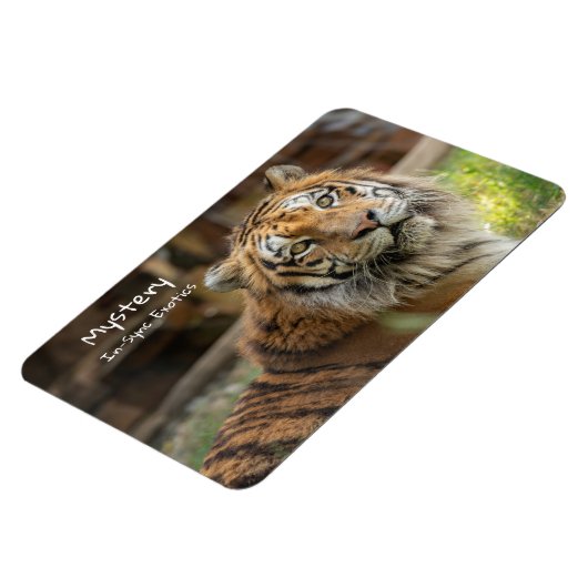 Magnet Flexible Mystère - (Côté Gauche)