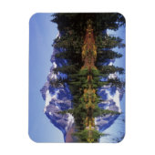 Magnet Flexible N.A., USA, Washington, Mt. Baker et Snoqualmie (Vertical)