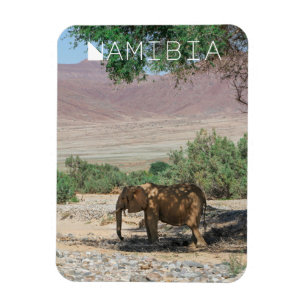 Magnet Flexible Namibie Afrique Huab River Elephant Damaraland