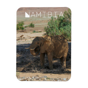 Magnet Flexible Namibie Afrique Huab River Elephant Damaraland