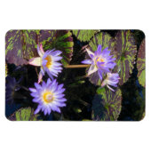 Magnet Flexible Nappes D'Eau (Horizontal)