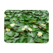 Magnet Flexible Nappes D'Eau (Horizontal)