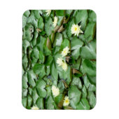 Magnet Flexible Nappes D'Eau (Vertical)