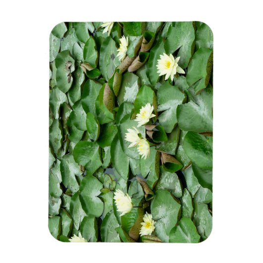 Magnet Flexible Nappes D'Eau (Vertical)