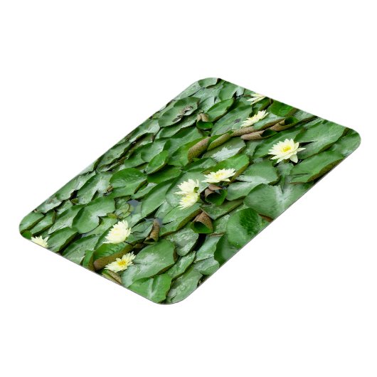 Magnet Flexible Nappes D'Eau (Côté Gauche)