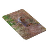 Magnet Flexible Nature Deer Doe Faune Photo Lac Arrowhead Ga. (Côté Droit)