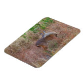 Magnet Flexible Nature Deer Doe Faune Photo Lac Arrowhead Ga. (Côté Gauche)