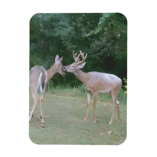 Magnet Flexible Nature Lover (Vertical)