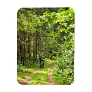 Magnet Flexible Nature Paysage Paysage Paysage Forêt Birch Biéloru