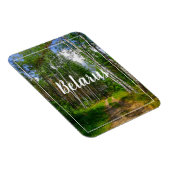 Magnet Flexible Nature Paysage Paysage Paysage Forêt Birch Biéloru (Côté Droit)
