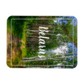 Magnet Flexible Nature Paysage Paysage Paysage Forêt Birch Biéloru (Horizontal)
