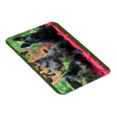 Magnet Flexible Ne regardera pas (Côté Droit)