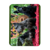 Magnet Flexible Ne regardera pas (Vertical)